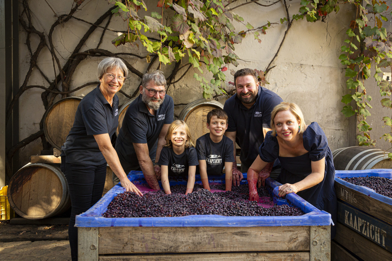 Domus Vinum à Kaapzicht - Les viticulteurs - Les viticulteurs - photo 3