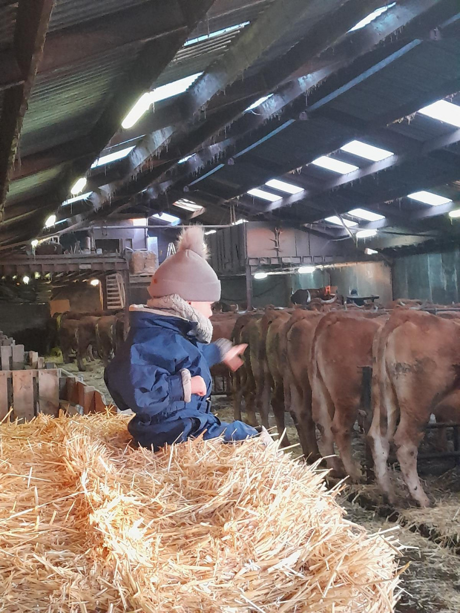 La ferme de Bergifa à Lierneux - Feinkost - photo 3